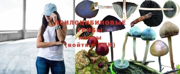 героин Алзамай